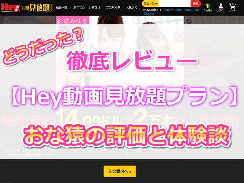 Hey動画月額見放題プランのおな猿入会体験談