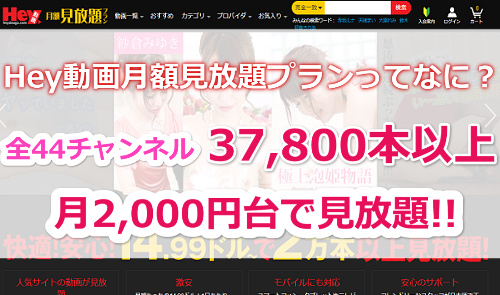 Hey動画月額見放題プランとは?