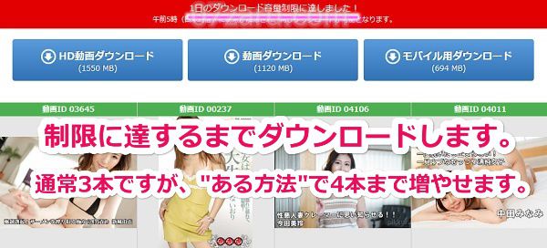 Pikkurでダウンロードする手順12