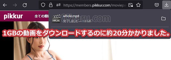 Pikkurでダウンロードする手順9