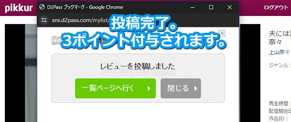 Pikkurの動画レビュー投稿手順4