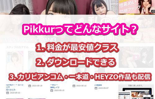 Pikkur【ピッカー】とは?
