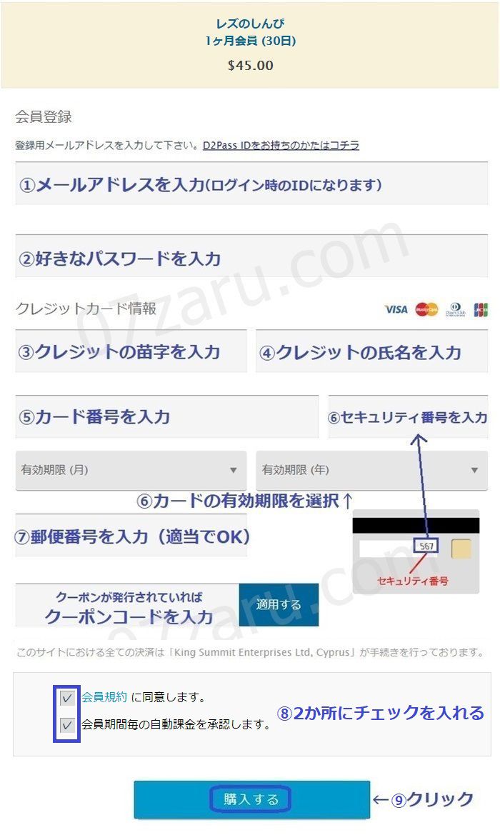 レズのしんぴクレジットカード情報入力画面