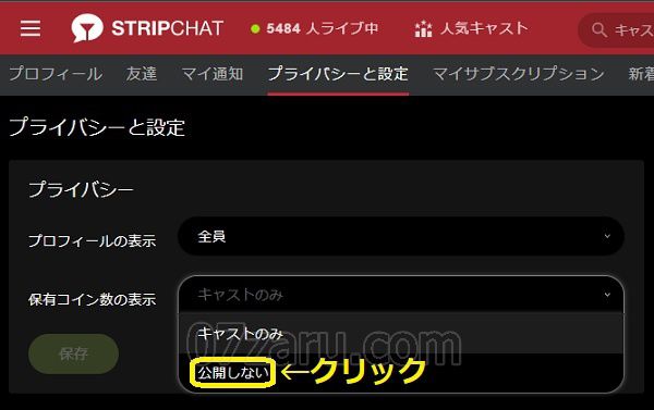 Stripchatで保有コイン数を非表示にする手順2