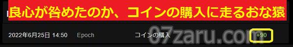Stripchatでコインを購入してみた
