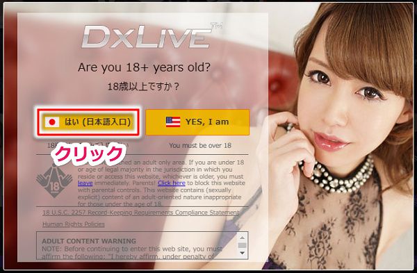 dxlive���ʃN�[�|���̎g�����菇1