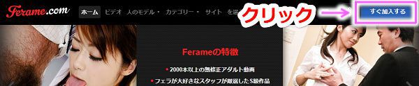 �t�F���[���̓���菇2
