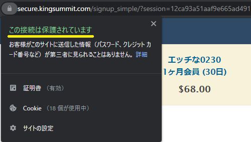 エッチな0230の決済ページはSSL化されている