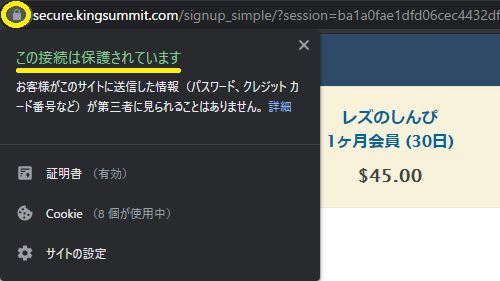 レズのしんぴの決済ページはSSL化されている