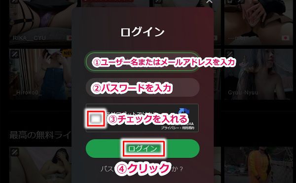 stripchatのログイン手順3